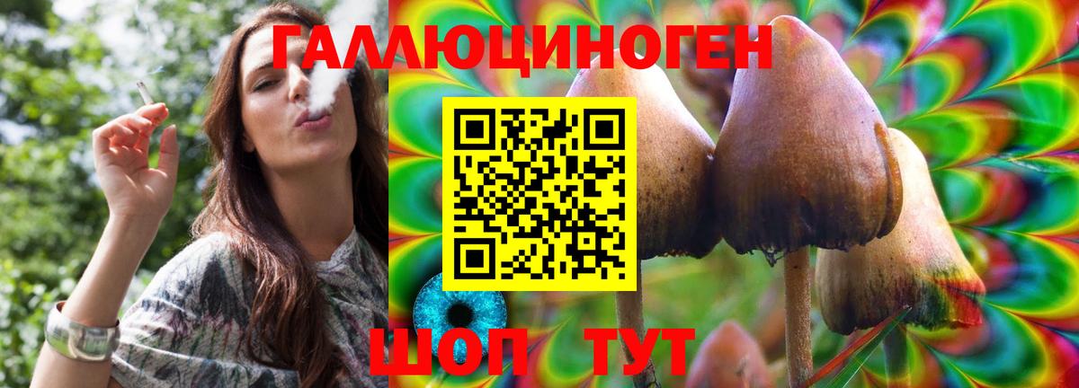 Кыштым  Псилоцибиновые грибы прущие грибы  Вход с VPN 